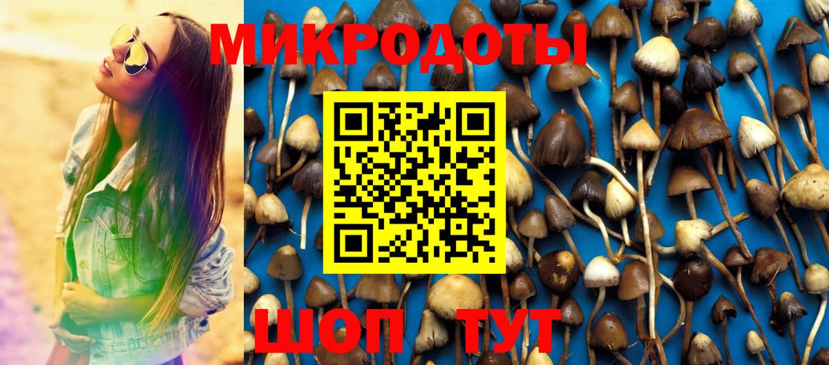 Галлюциногенные грибы прущие грибы Торжок