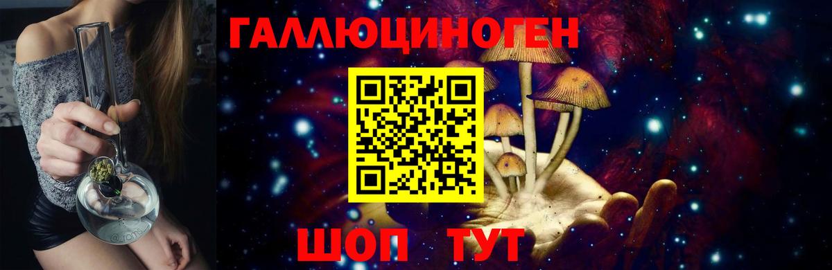 Торжок  Псилоцибиновые грибы прущие грибы  Вход с VPN 